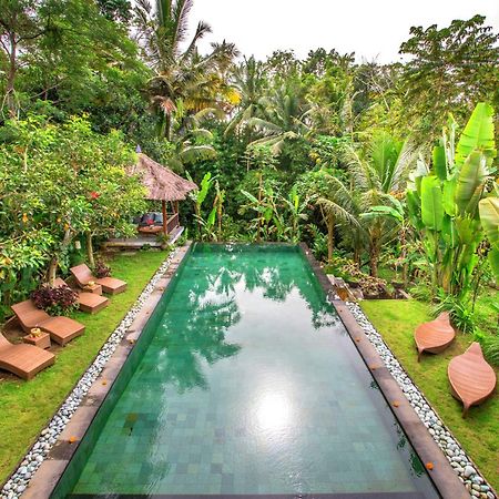 Villa Viola Ubud Dış mekan fotoğraf