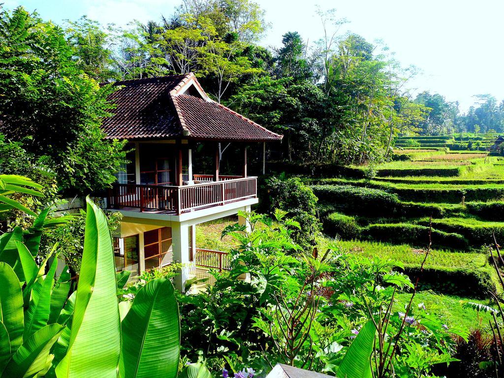 Villa Viola Ubud Dış mekan fotoğraf