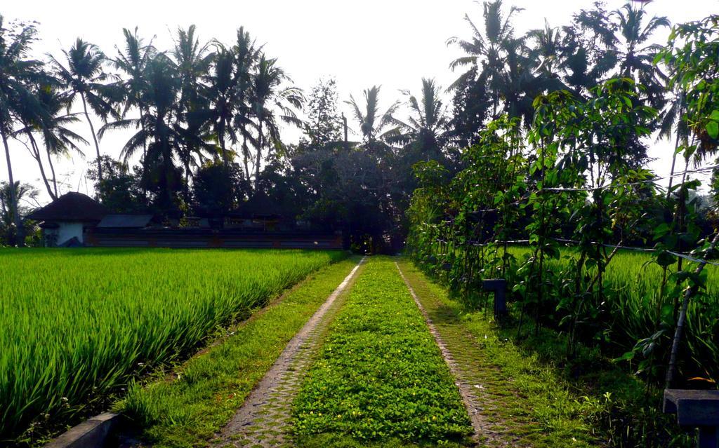 Villa Viola Ubud Dış mekan fotoğraf