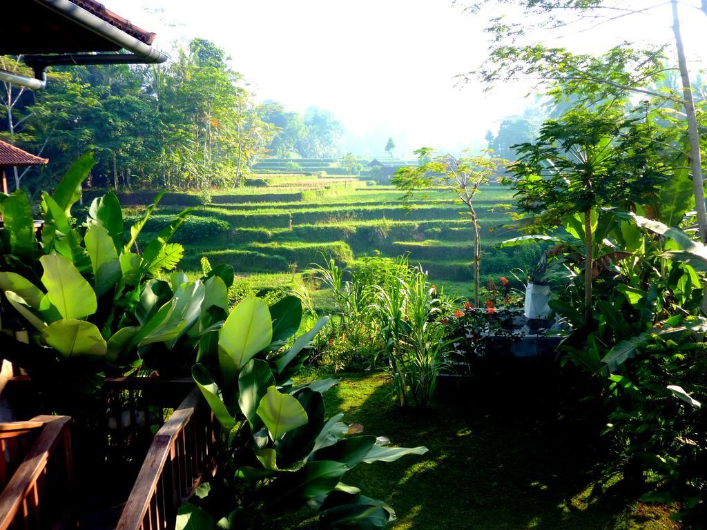 Villa Viola Ubud Dış mekan fotoğraf