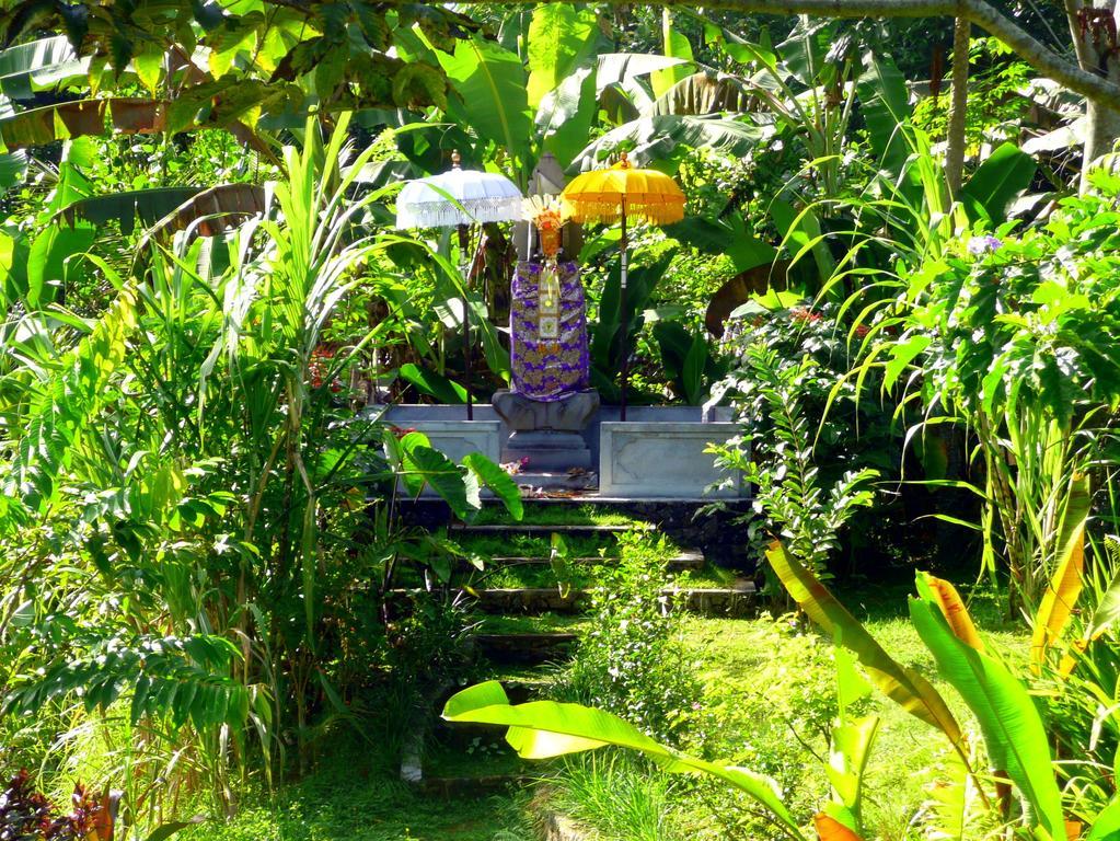 Villa Viola Ubud Dış mekan fotoğraf
