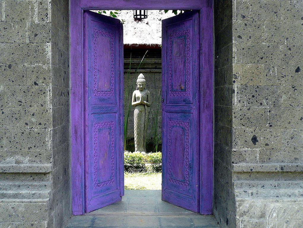 Villa Viola Ubud Dış mekan fotoğraf