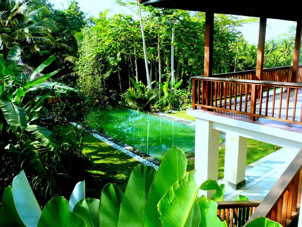 Villa Viola Ubud Dış mekan fotoğraf