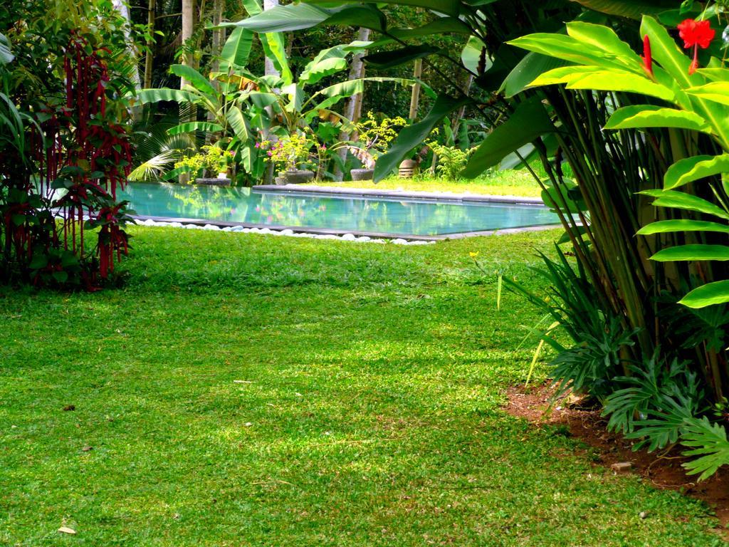 Villa Viola Ubud Dış mekan fotoğraf