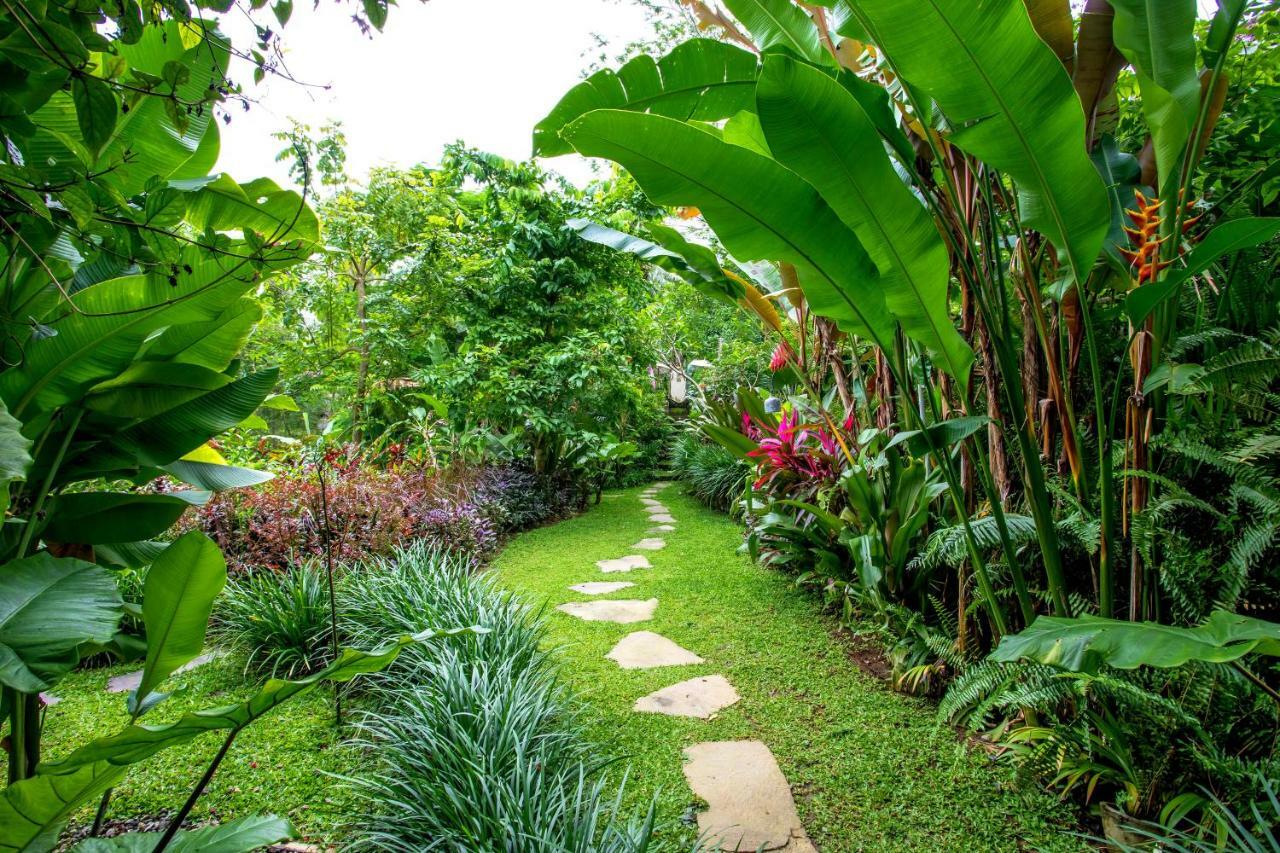 Villa Viola Ubud Dış mekan fotoğraf