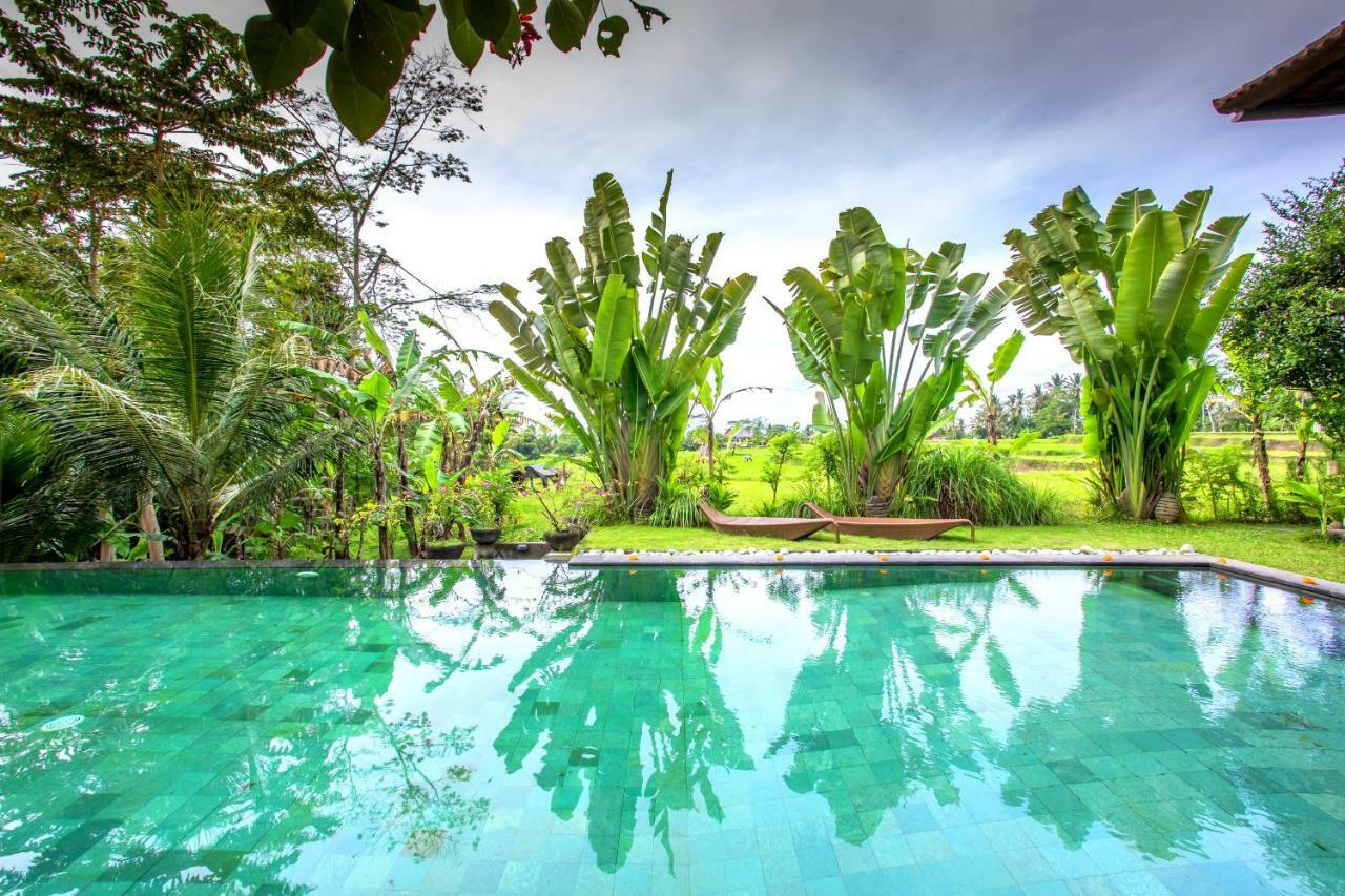Villa Viola Ubud Dış mekan fotoğraf